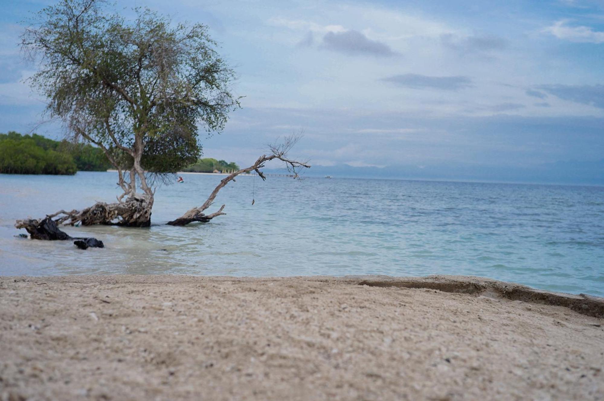 Yut'S Inn Flower Paradise Gili Gede ภายนอก รูปภาพ